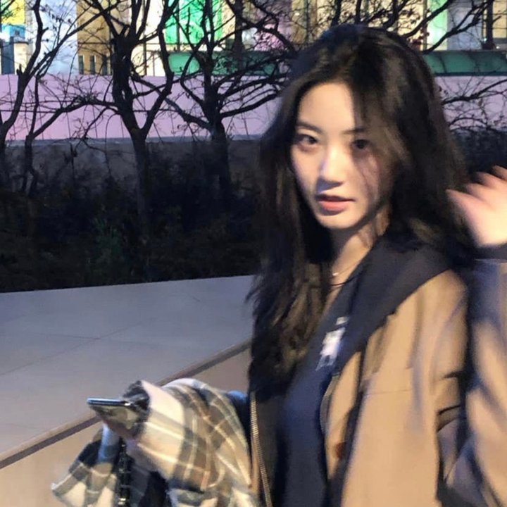 S级天赋护家战异兽