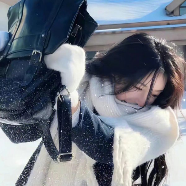 巅峰拍档第二十二季